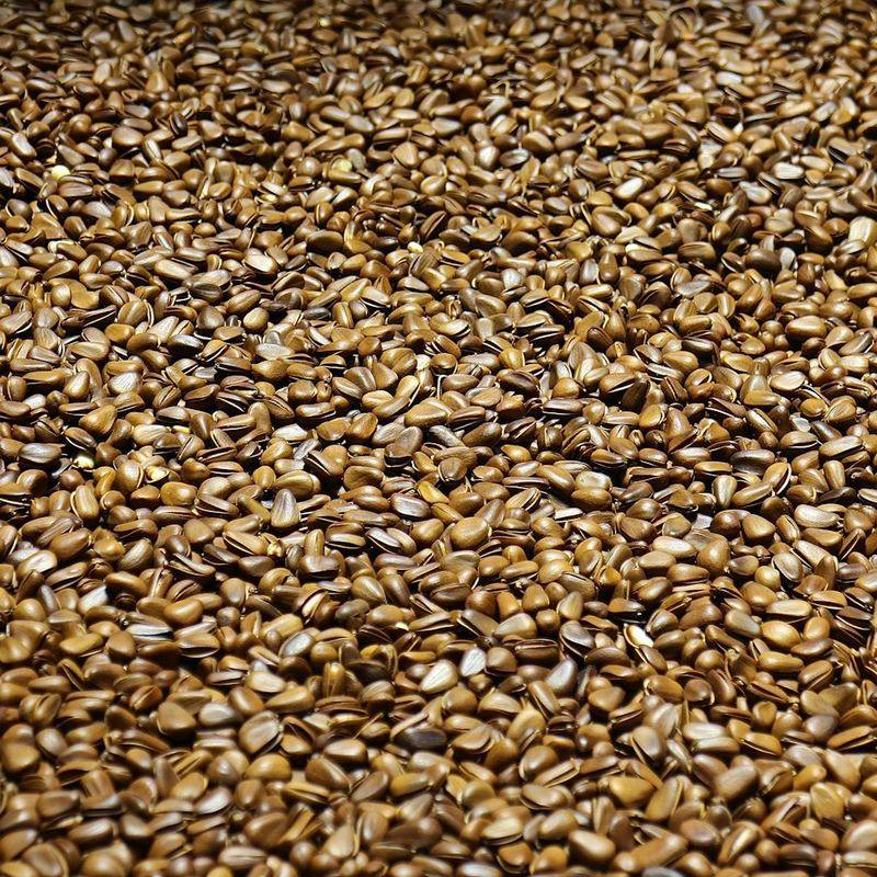 Wood pellet bulk