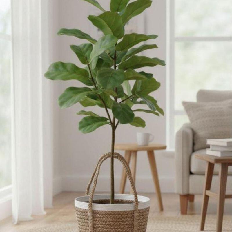 Woven planter basket