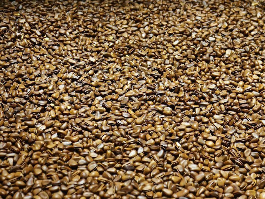 Wood Pellet